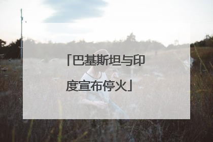 巴基斯坦与印度宣布停火