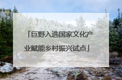 巨野入选国家文化产业赋能乡村振兴试点