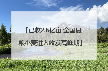 已收2.6亿亩 全国夏粮小麦进入收获高峰期