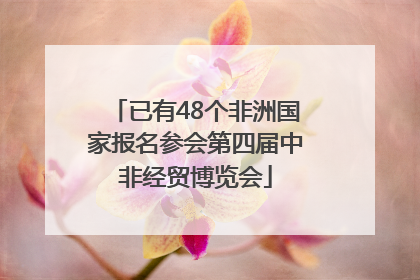 已有48个非洲国家报名参会第四届中非经贸博览会