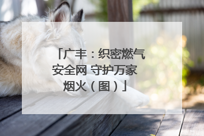 广丰：织密燃气安全网 守护万家烟火（图）