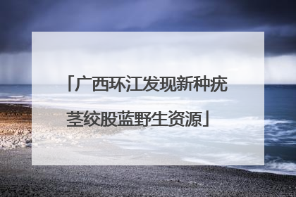 广西环江发现新种疣茎绞股蓝野生资源