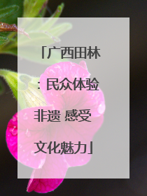广西田林：民众体验非遗 感受文化魅力