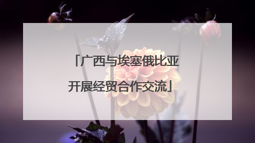 广西与埃塞俄比亚开展经贸合作交流