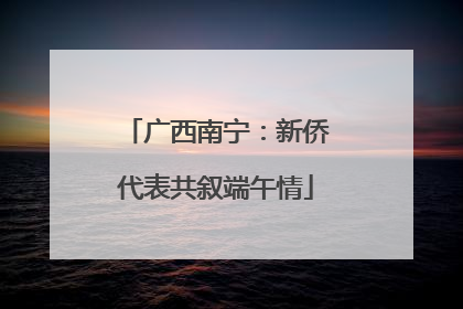 广西南宁：新侨代表共叙端午情