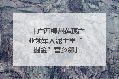 广西柳州莲藕产业领军人泥土里“掘金”富乡邻