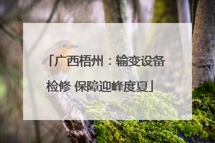 广西梧州：输变设备检修 保障迎峰度夏
