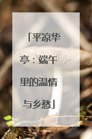 平凉华亭：端午里的温情与乡愁
