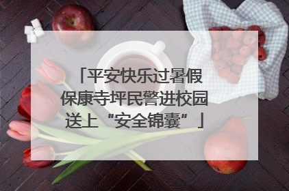 平安快乐过暑假 保康寺坪民警进校园送上“安全锦囊”