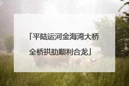 平陆运河金海湾大桥全桥拱肋顺利合龙