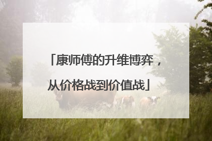 康师傅的升维博弈，从价格战到价值战
