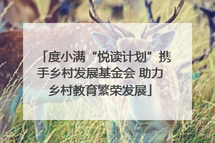 度小满“悦读计划”携手乡村发展基金会 助力乡村教育繁荣发展
