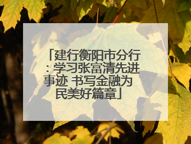 建行衡阳市分行：学习张富清先进事迹 书写金融为民美好篇章
