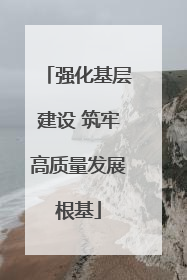 强化基层建设 筑牢高质量发展根基