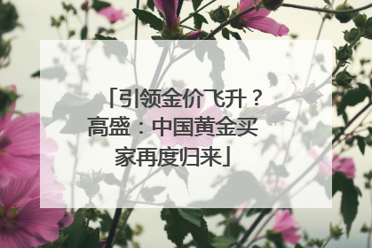 引领金价飞升？高盛：中国黄金买家再度归来