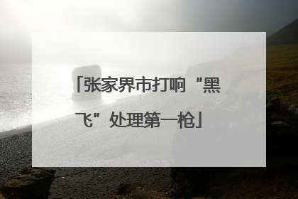 张家界市打响“黑飞”处理第一枪