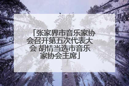 张家界市音乐家协会召开第五次代表大会 胡情当选市音乐家协会主席