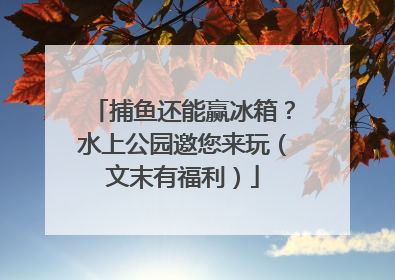 捕鱼还能赢冰箱？水上公园邀您来玩（文末有福利）