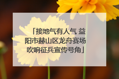 接地气有人气 益阳市赫山区龙舟赛场吹响征兵宣传号角