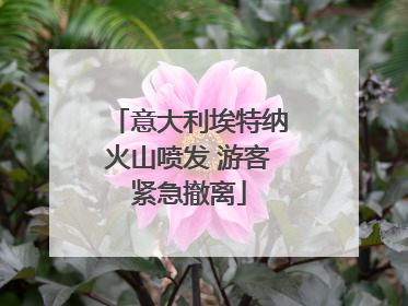意大利埃特纳火山喷发 游客紧急撤离