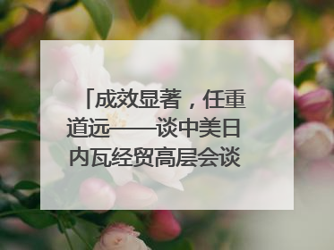 成效显著，任重道远——谈中美日内瓦经贸高层会谈｜专家热评