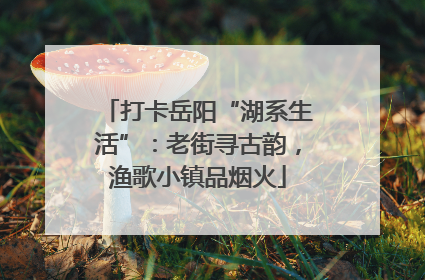 打卡岳阳“湖系生活”：老街寻古韵，渔歌小镇品烟火