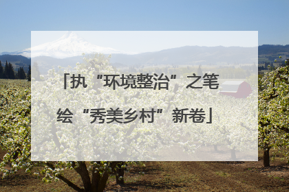 执“环境整治”之笔 绘“秀美乡村”新卷