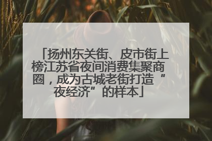 扬州东关街、皮市街上榜江苏省夜间消费集聚商圈，成为古城老街打造“夜经济”的样本