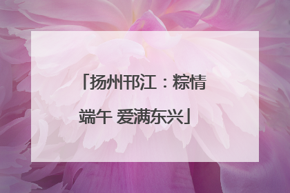 扬州邗江：粽情端午 爱满东兴