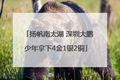 扬帆南太湖 深圳大鹏少年拿下4金1银2铜