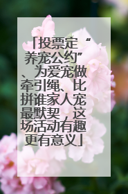 投票定“养宠公约”、为爱宠做牵引绳、比拼谁家人宠最默契，这场活动有趣更有意义