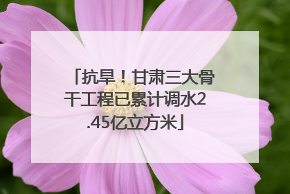 抗旱！甘肃三大骨干工程已累计调水2.45亿立方米