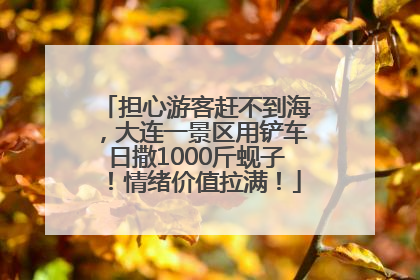 担心游客赶不到海，大连一景区用铲车日撒1000斤蚬子！情绪价值拉满！
