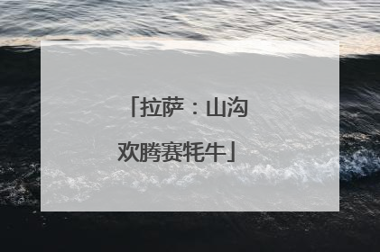 拉萨：山沟欢腾赛牦牛
