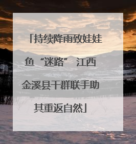 持续降雨致娃娃鱼“迷路” 江西金溪县干群联手助其重返自然