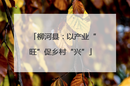 柳河县：以产业“旺”促乡村“兴”