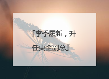 李季履新，升任央企副总