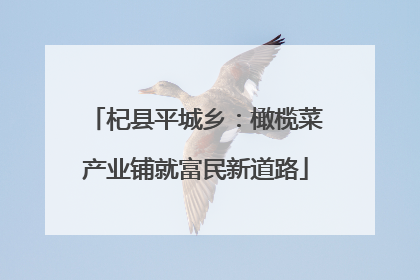 杞县平城乡：橄榄菜产业铺就富民新道路
