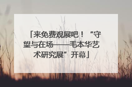 来免费观展吧！“守望与在场——毛本华艺术研究展”开幕