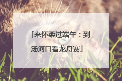 来怀柔过端午：到汤河口看龙舟赛