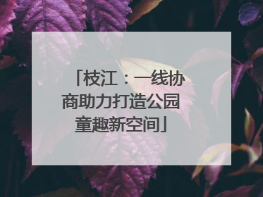 枝江：一线协商助力打造公园童趣新空间