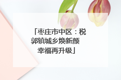 枣庄市中区：税郭镇城乡焕新颜 幸福再升级
