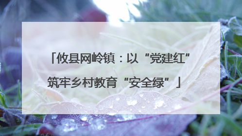 攸县网岭镇：以“党建红”筑牢乡村教育“安全绿”