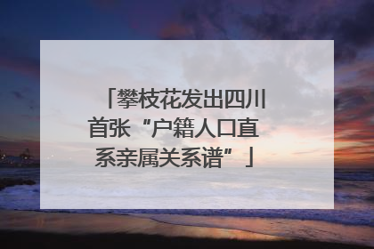 攀枝花发出四川首张“户籍人口直系亲属关系谱”