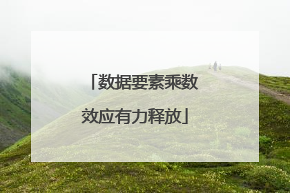 数据要素乘数效应有力释放