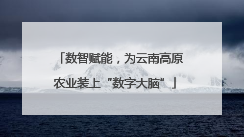 数智赋能，为云南高原农业装上“数字大脑”