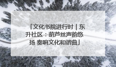 文化书院进行时｜东升社区：葫芦丝声韵悠扬 奏响文化和谐曲