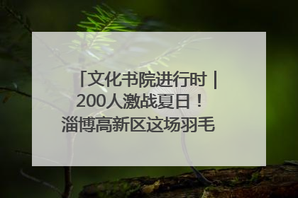 文化书院进行时｜200人激战夏日！淄博高新区这场羽毛球比赛太酷