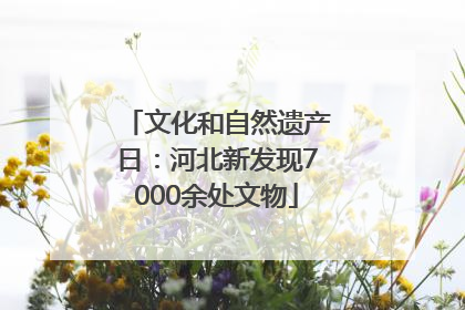 文化和自然遗产日：河北新发现7000余处文物
