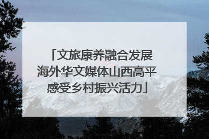 文旅康养融合发展 海外华文媒体山西高平感受乡村振兴活力